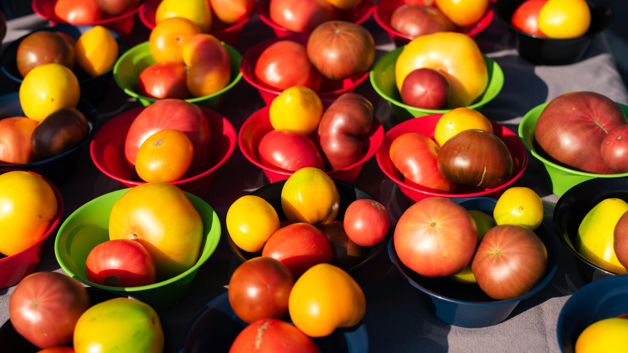 Our Vendors Clark Fork River Market