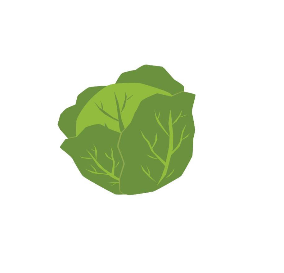 Ten Ruzek, Operations Manager