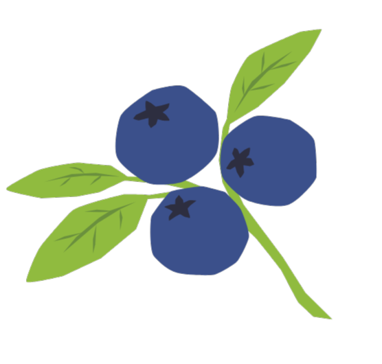 Kaylee Nassiri, Executive Director